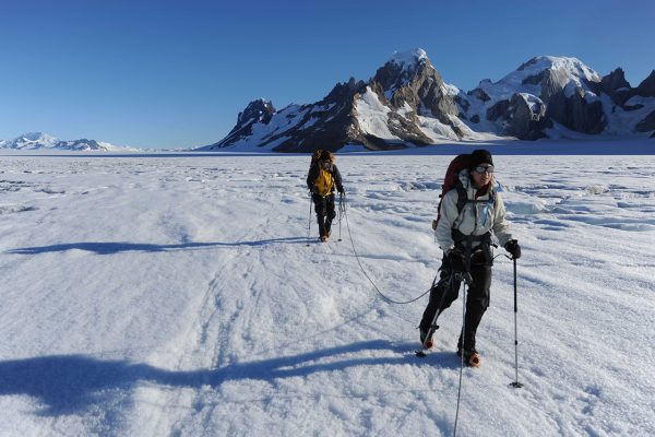 WhiteFox---SOUTHERN-ICE-FIELD-62 WhiteFox---SOUTHERN-ICE-FIELD-62