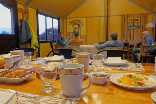 WhiteFox - Fly fishing - BTBC 2 WhiteFox - Fly fishing - BTBC 2